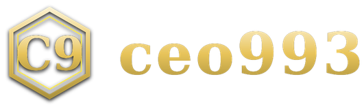 ceo993 logo